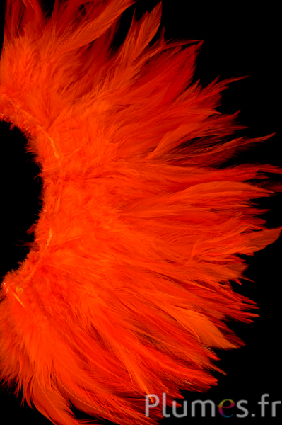 Frange coq - long. plumes 10-15 cm - orange sanguin